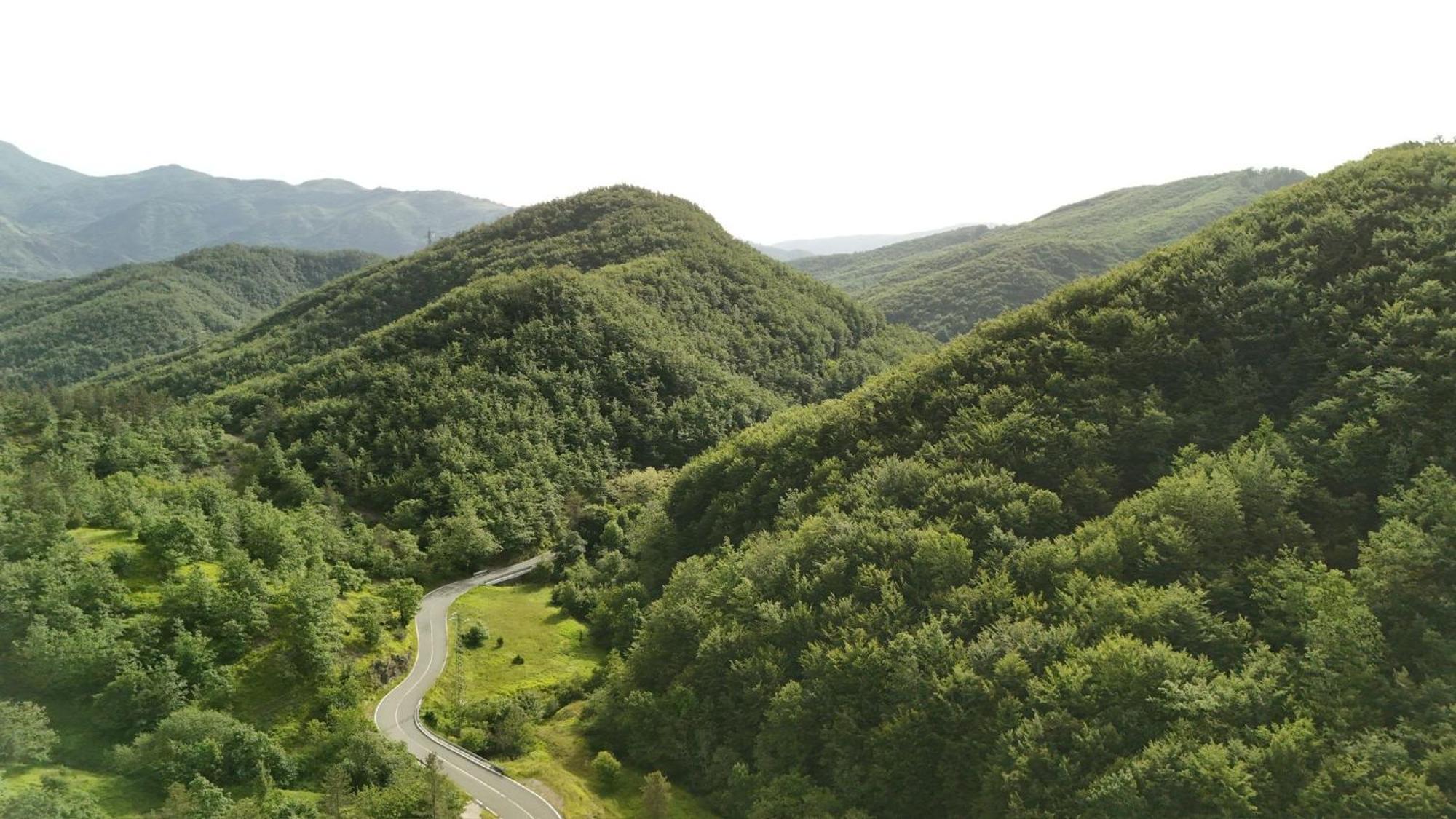 Green Riviera Case Vacanza Borzonasca Eksteriør bilde